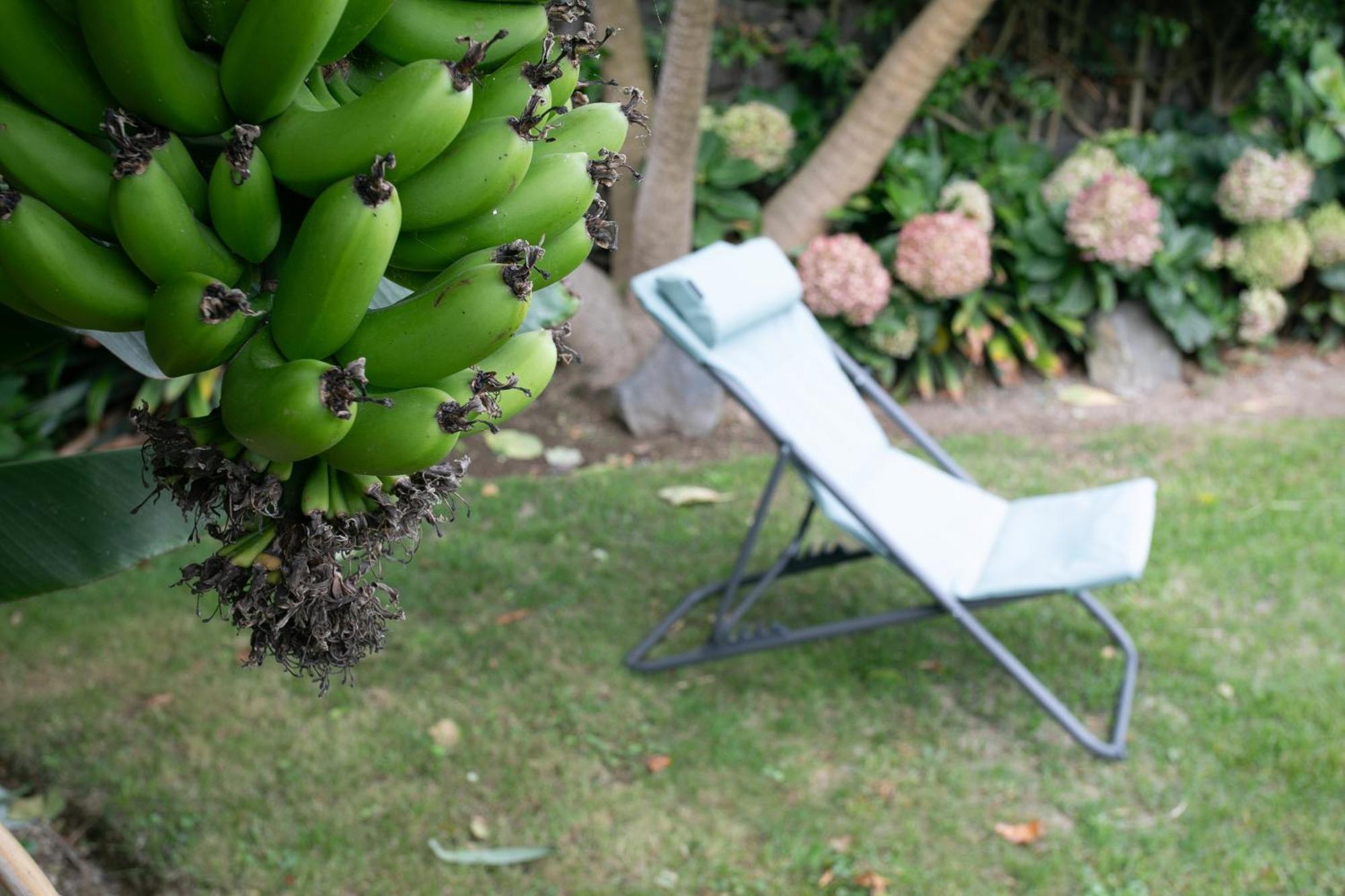 Maria'S Haven Villa Santo Antonio  Exterior foto